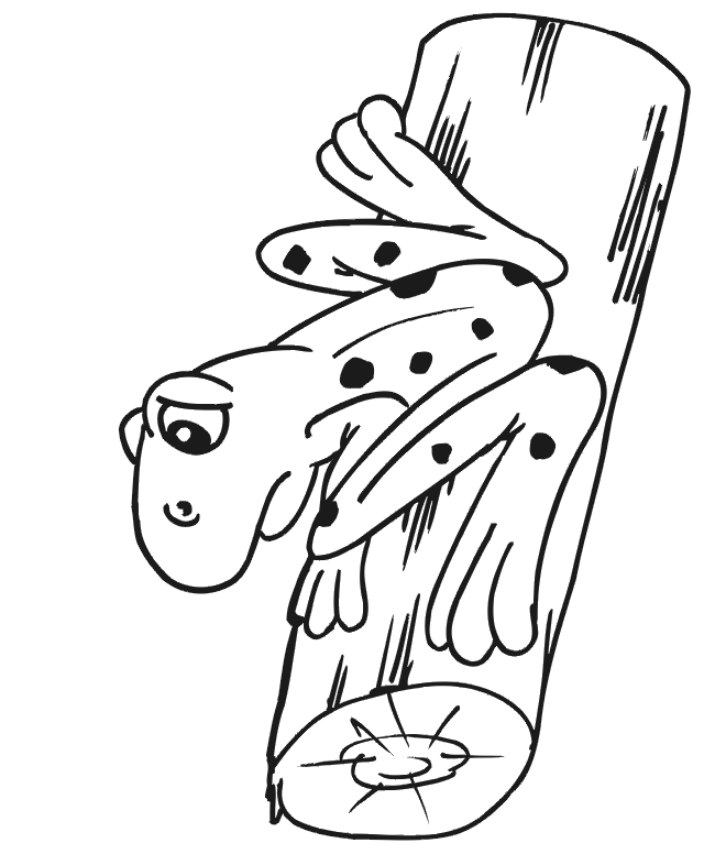 Frog coloring page frog on a log