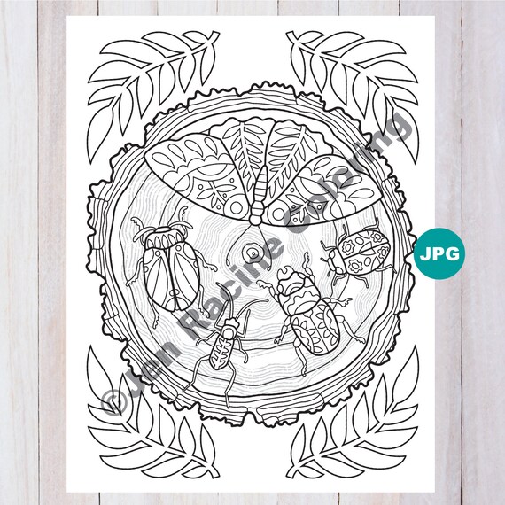 Lagom coloring page bugs on a log floral scandinavian jpg