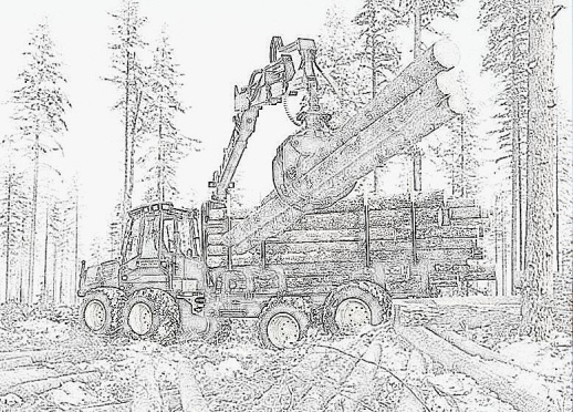 Forestry operations and osh issues from the past to the present