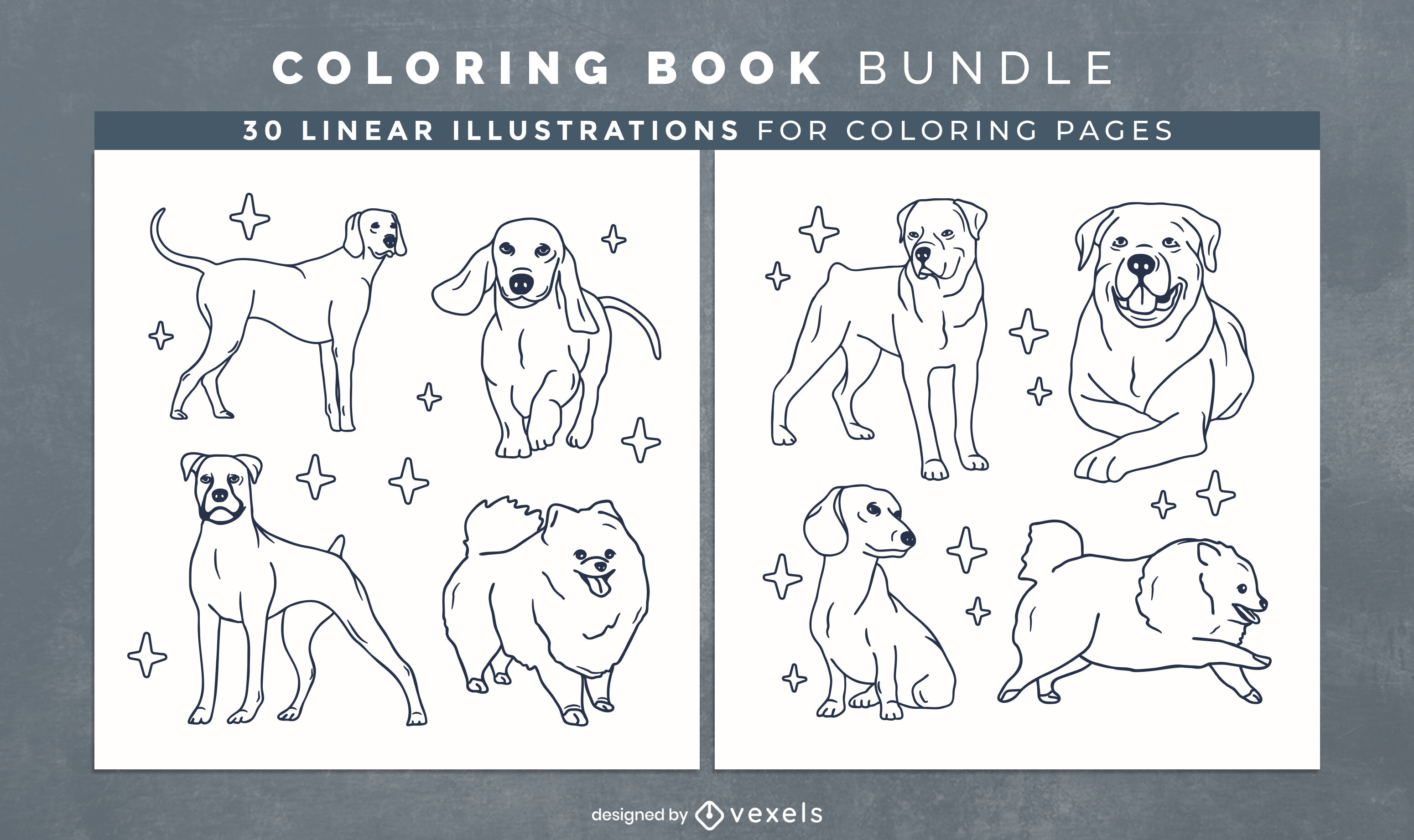 Dog breeds coloring book pages design vector download