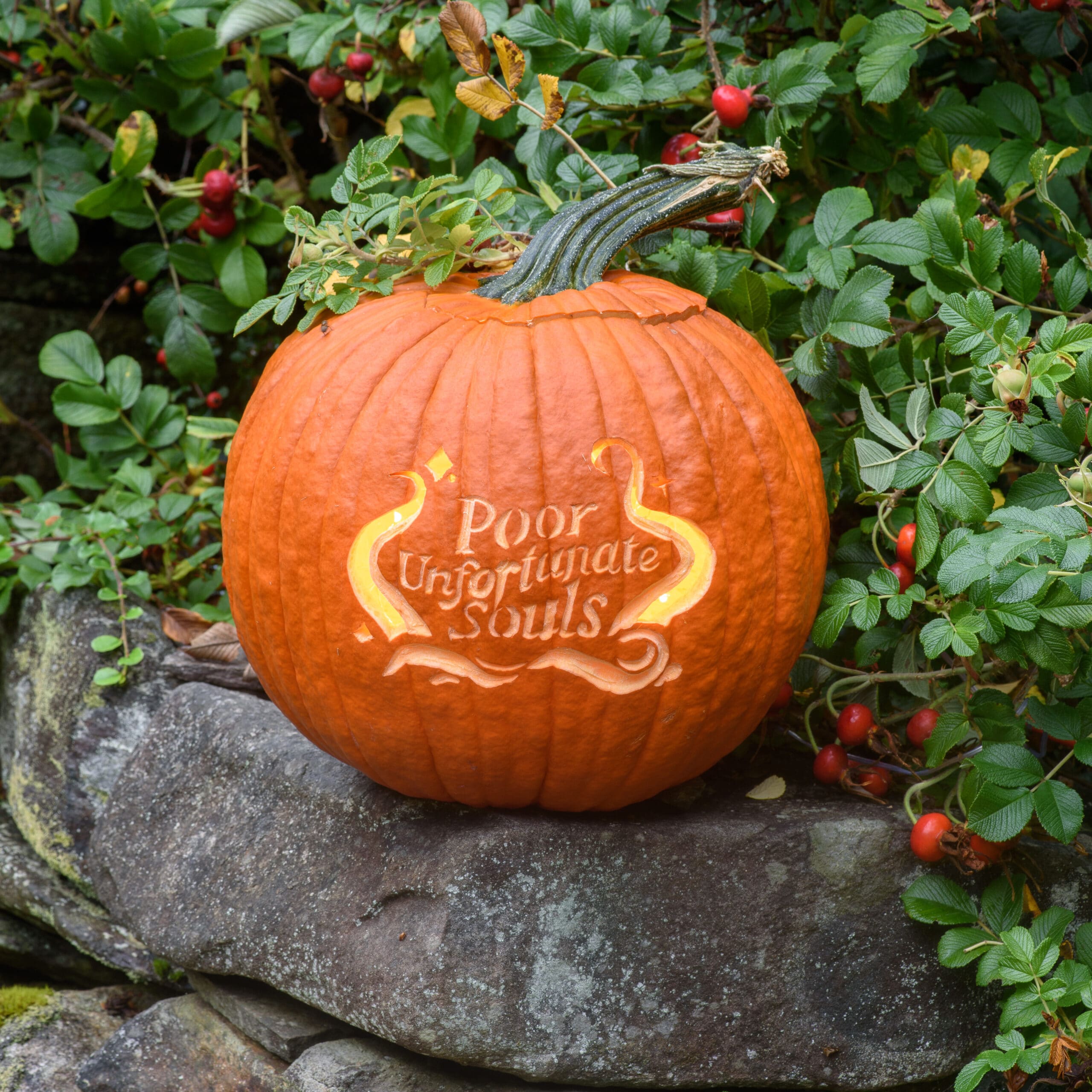 Disney pumpkin stencils for a magical halloween