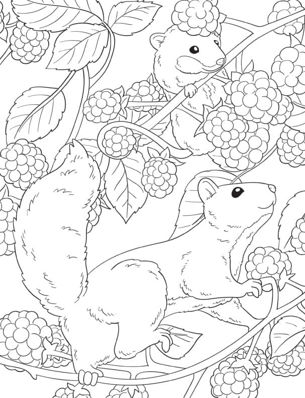 Coloring pages for girls years old free coloring pages