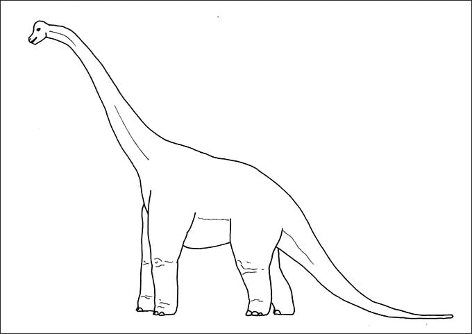 Dinosaur coloring page s in illustrator pdf png svg jpg eps