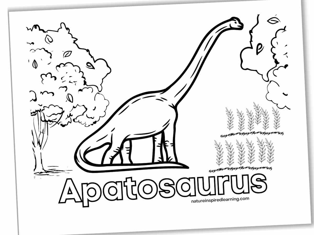 Dinosaur coloring pages