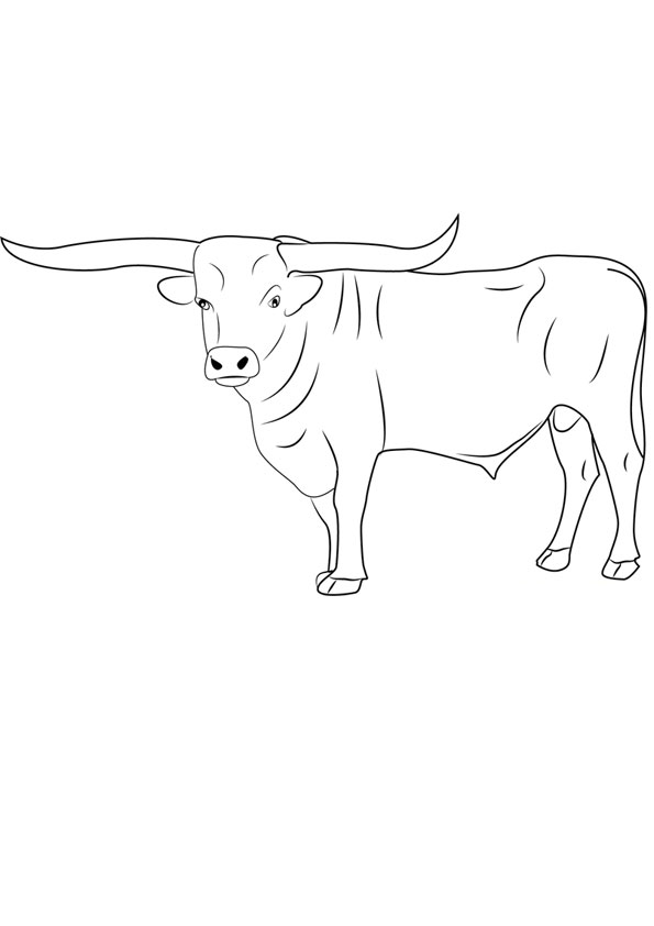 Coloring pages bull with big horn coloring page