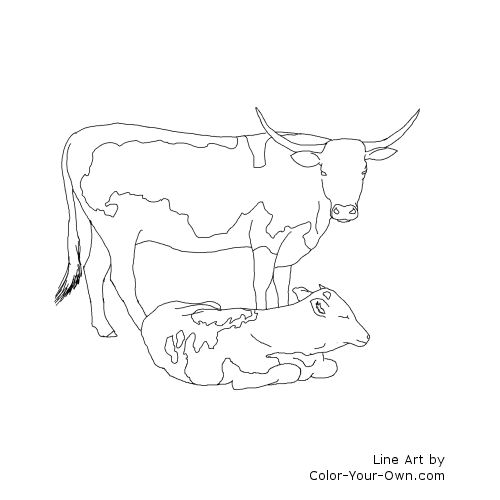 Longhorn cow and calf coloring page