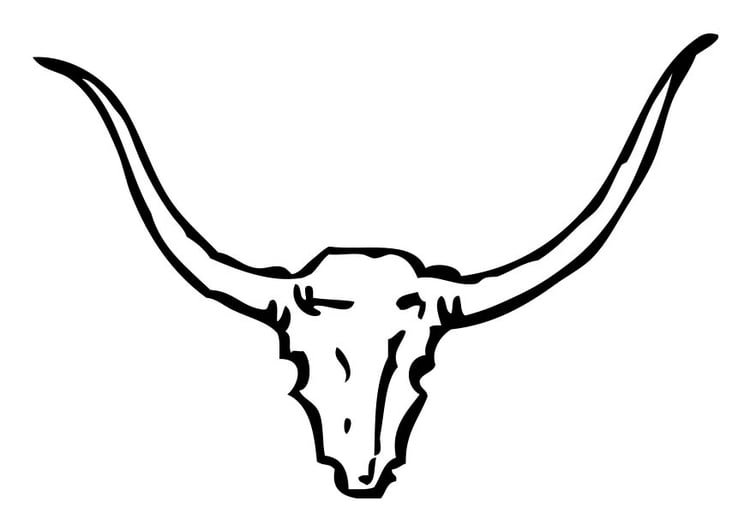 Coloring page bull horns