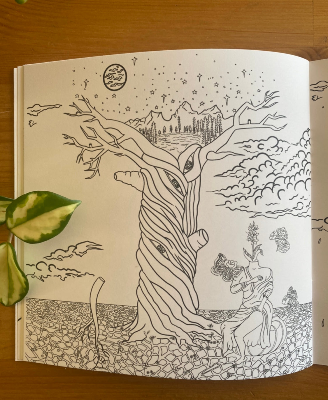 El jardin eterno the arte por lola coloring book â