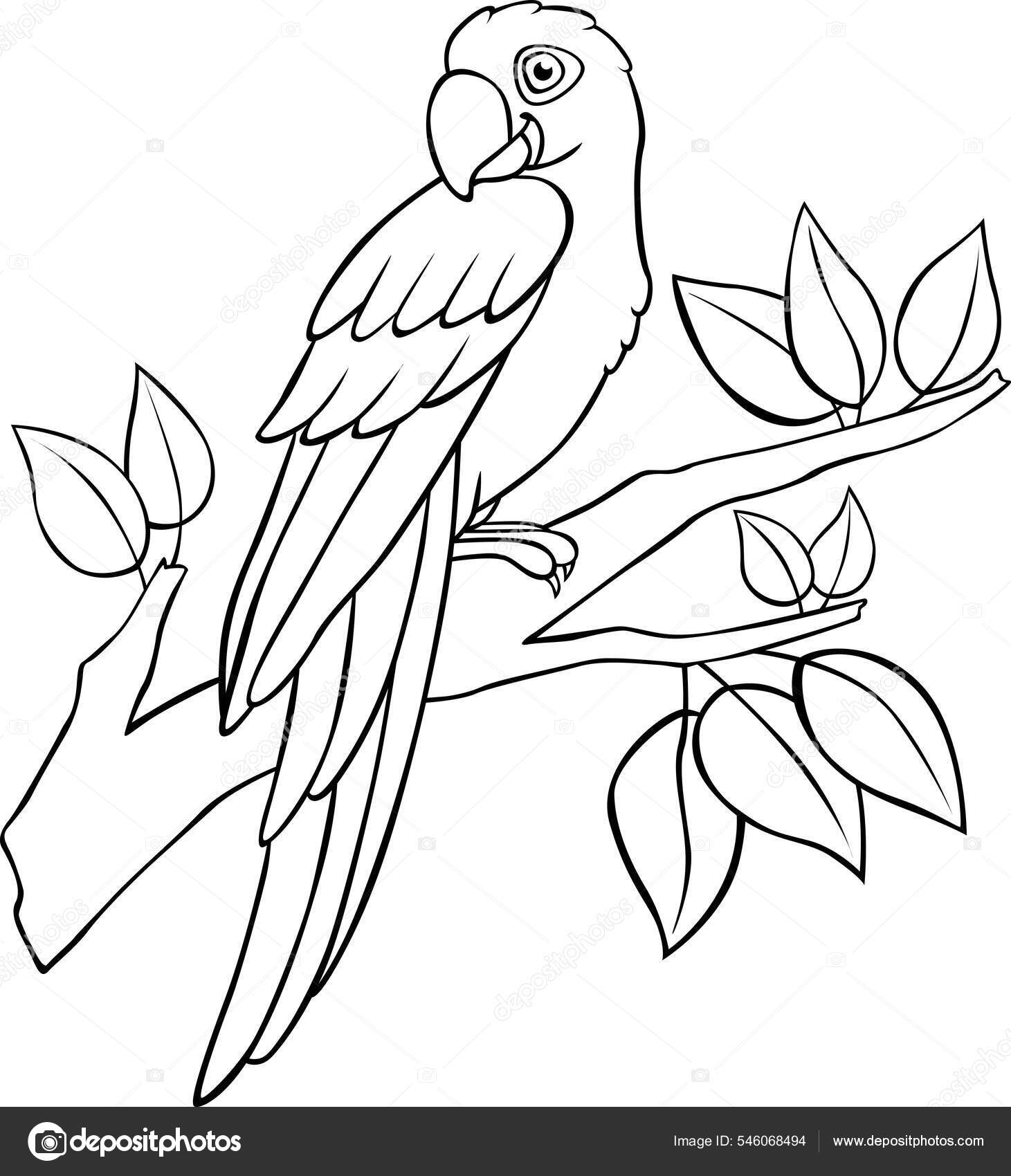 Pãgina para colorear lindo loro guacamayo azul sienta rama del vector de stock por ya