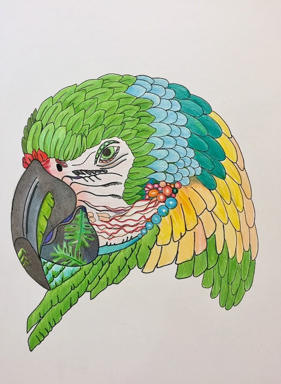 Loro verde que dibuja arte de la vida silvestre arte pãjaro pãjaro dibujo de aves de color loro arte loro color loro pared arte loro decoraciãn