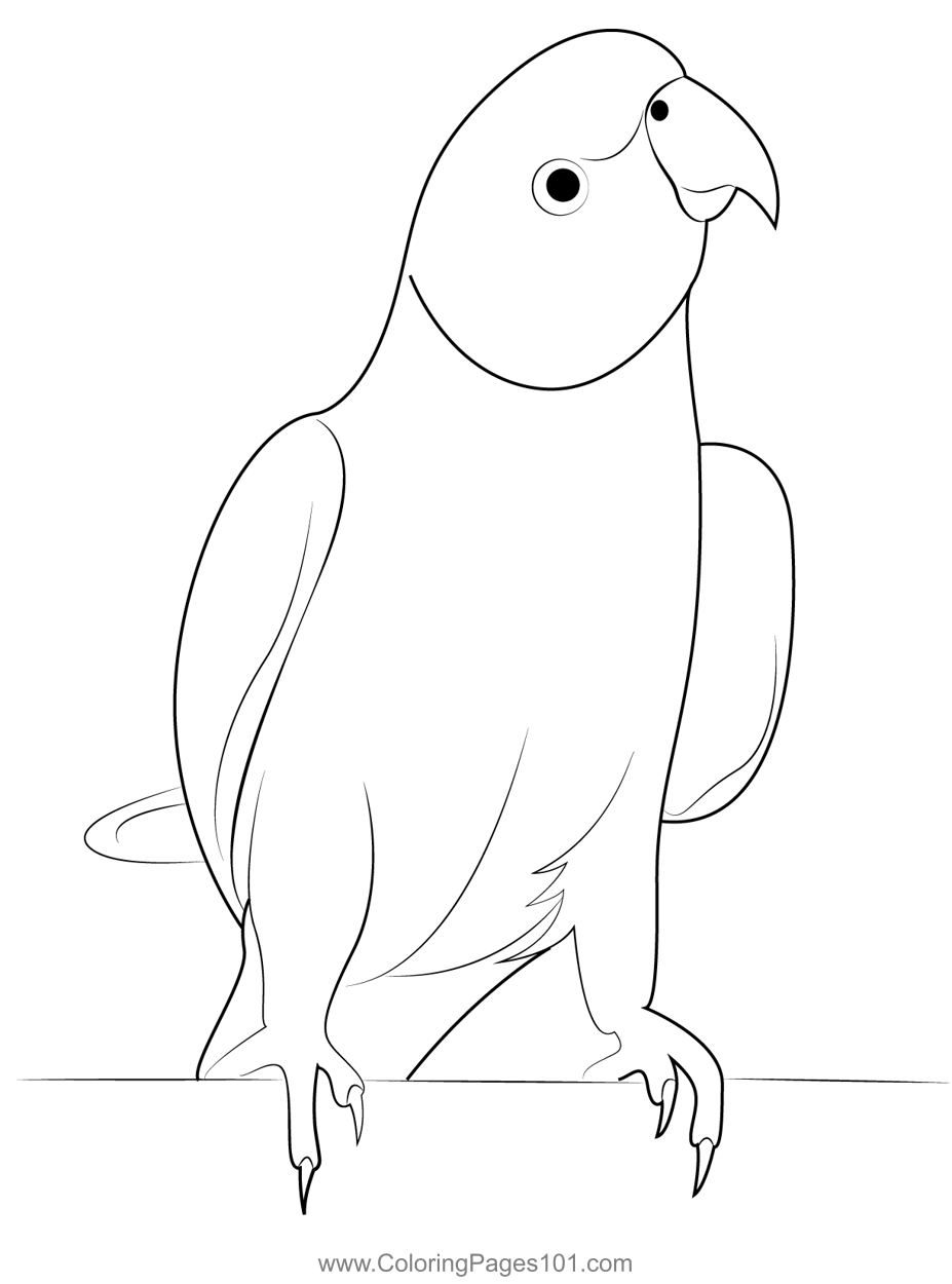 Norwegian blue parrot coloring page coloring pages pencil drawings of animals coloring pages for kids