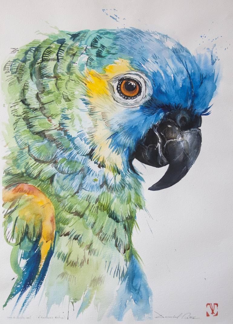 Loro cabeza azul painting parrots art animal paintings original animal painting