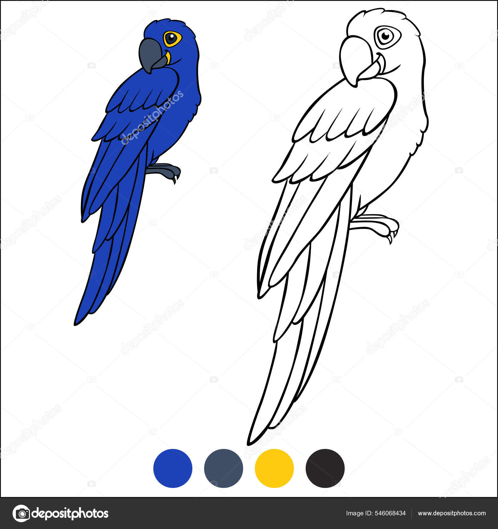 Dibujo para colorear pãjaros lindo loro feliz guacamayo azul sienta vector de stock por ya