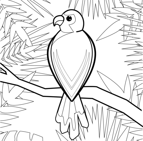 Dibujo de loro para colorear dibujos para colorear imprimir gratis