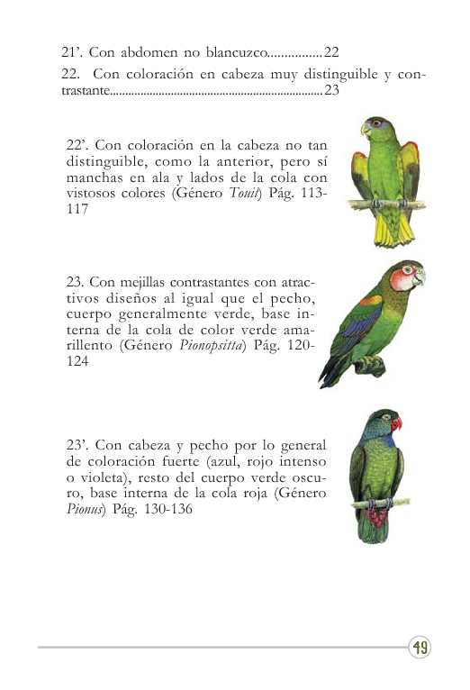 Loros pericos guacamayas