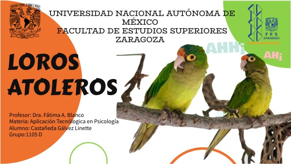 Loros atoleros