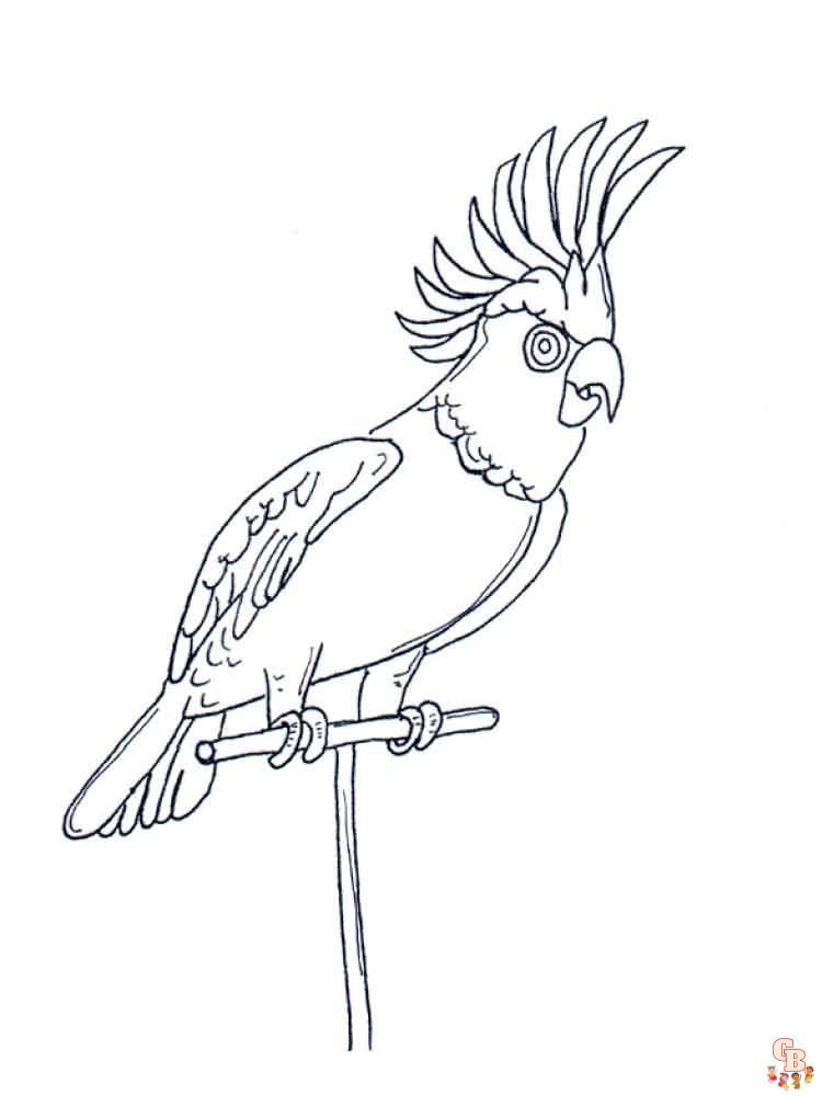 The best parrot coloring pages