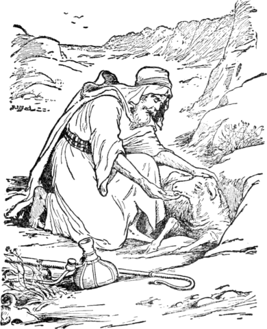 Parable of the lost sheep coloring page free printable coloring pages