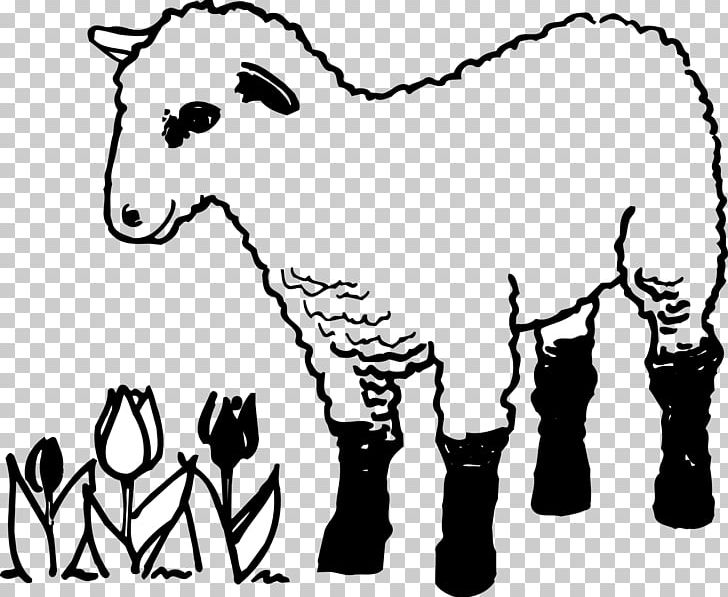 Parable of the lost sheep coloring book lamb and mutton shepherd png clipart animals black carnivoran