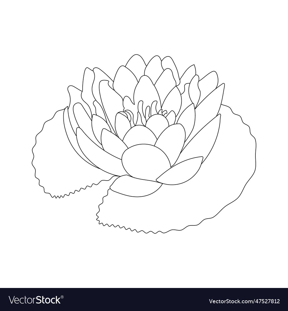 Lotus flower coloring page for kids royalty free vector