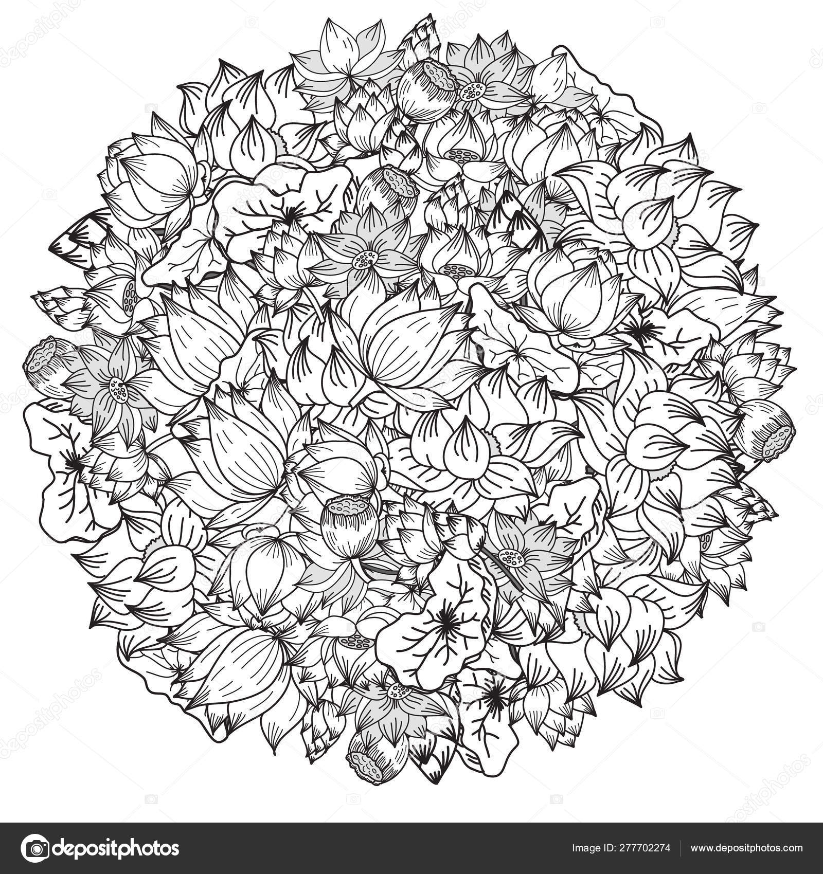 Circle hand drawn lotus flower vector coloring book flower bouquet stock vector by umamigmail