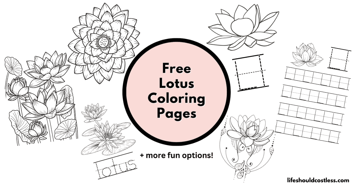 Lotus coloring pages free printable pdf templates