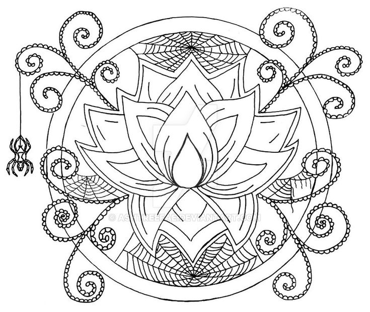 Spider lotus color page color colorful drawings colouring pages