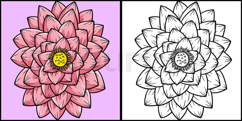 Lotus flower coloring page colored illustration stock vector