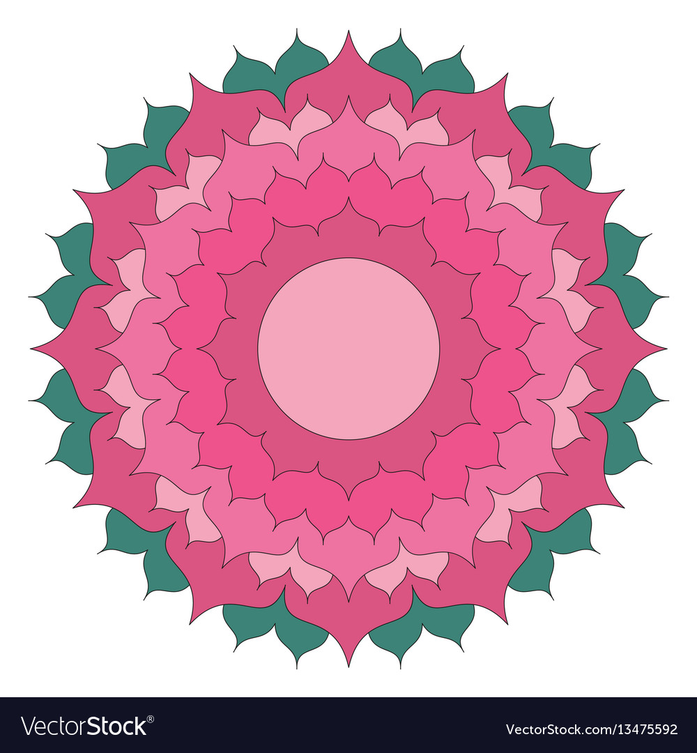 Simple lotus flower mandala coloring book colored vector image