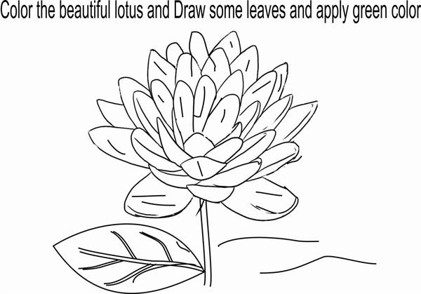 Lotus coloring page for kids