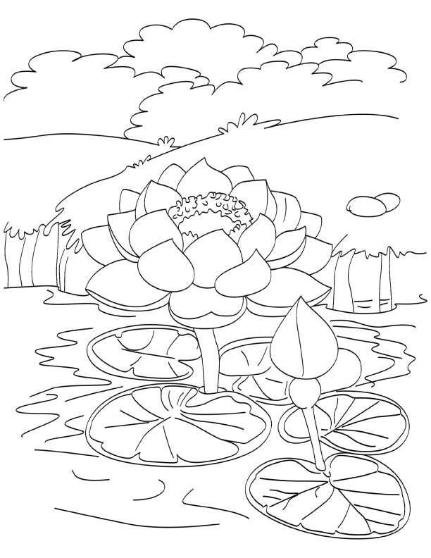 Coloring pages free lotus coloring pages