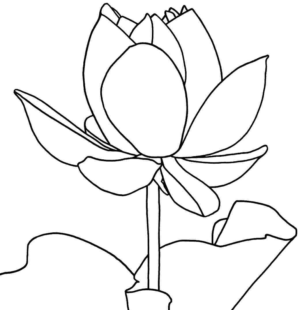 Free printable lotus coloring pages for kids