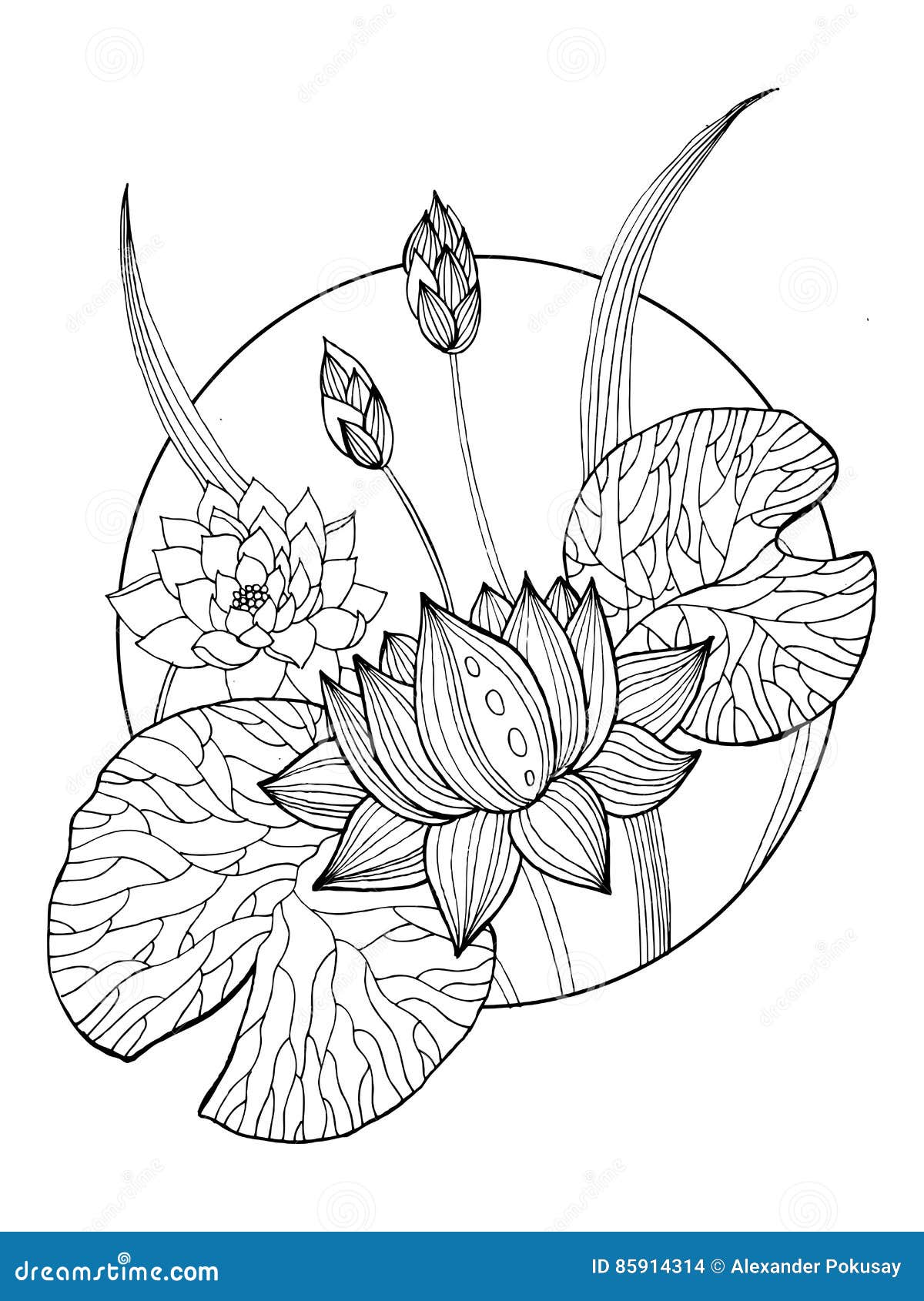 Lotus flower coloring book vector illustration stock vector