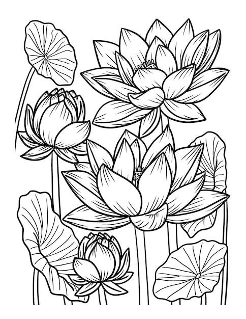 Premium vector lotus flower coloring page for adults