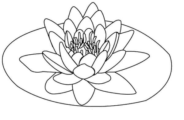 Lotus coloring pages printable pdf