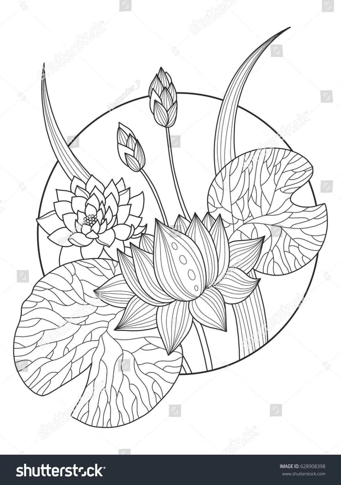 Lotus flower coloring book vector illustration stock vector royalty free