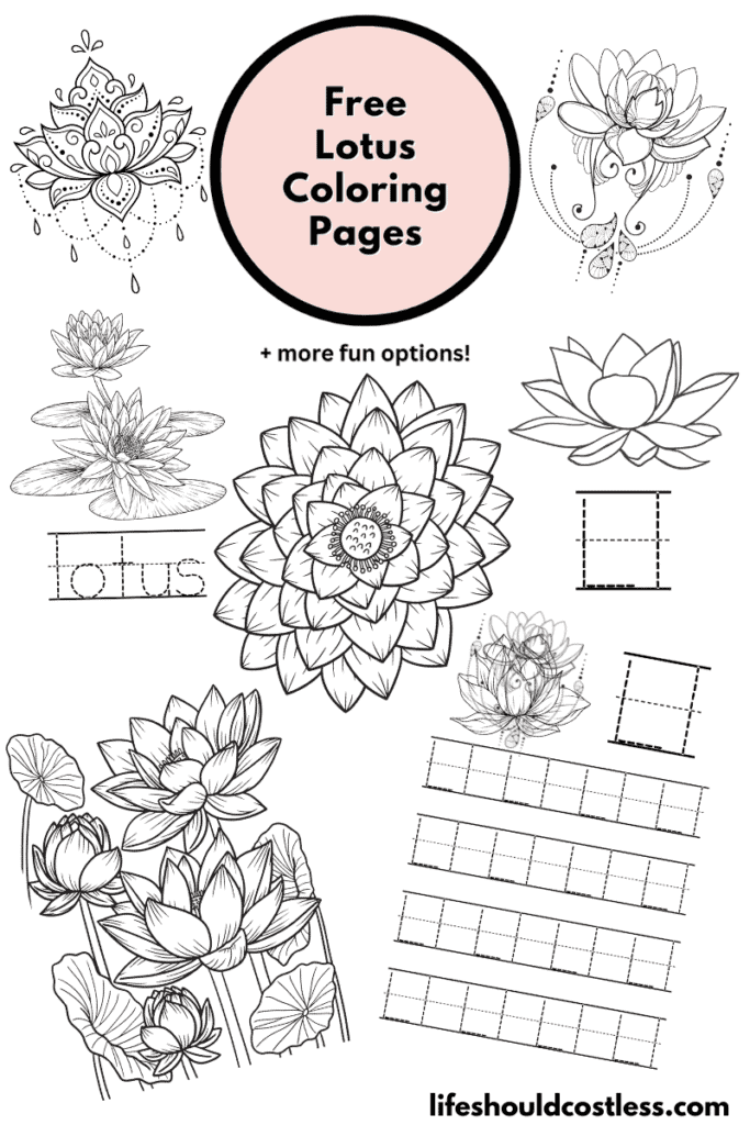 Lotus coloring pages free printable pdf templates