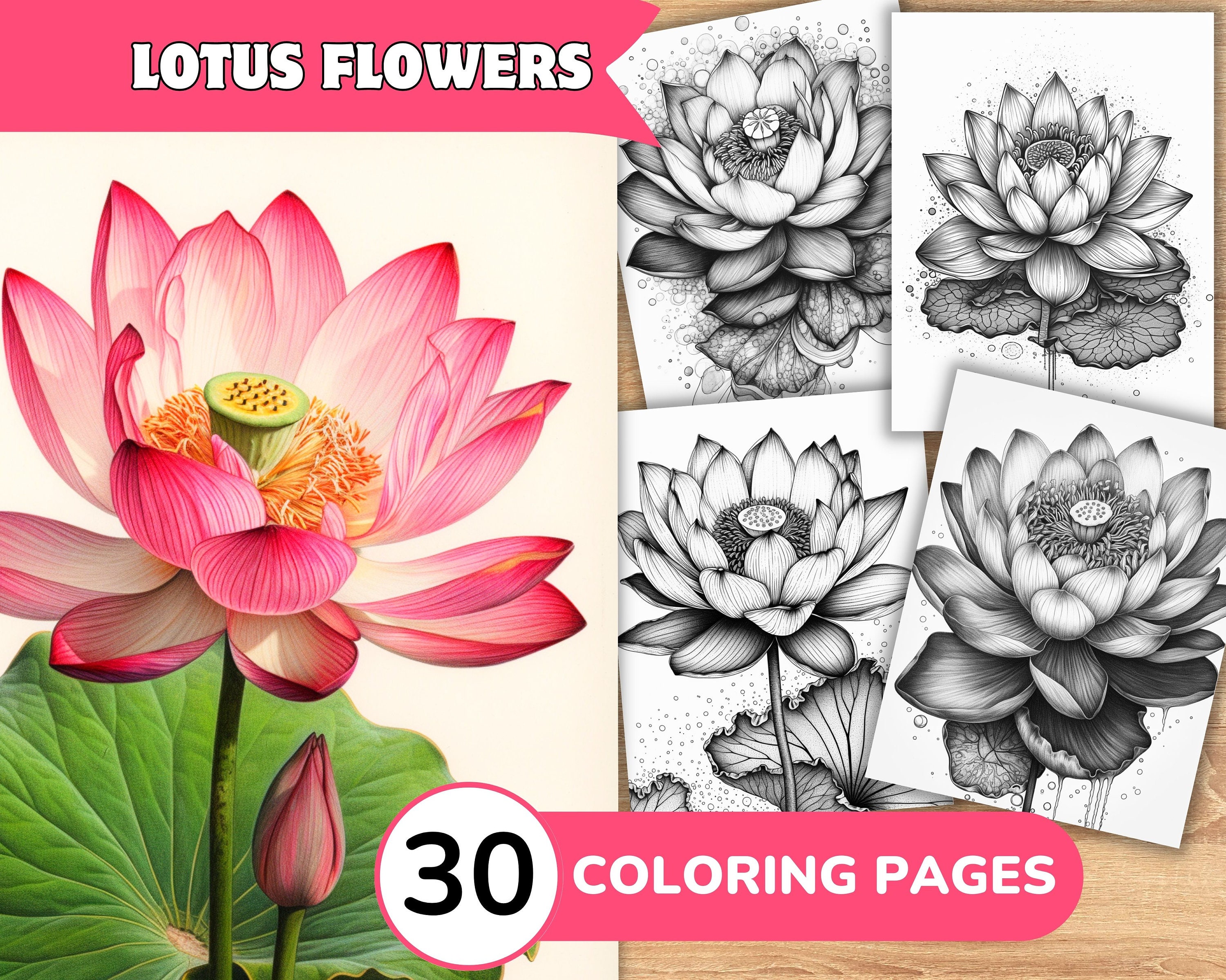 Lotus flowers grayscale coloring pages book lotus flowers grayscale coloring realistic lotus flower coloring grayscale