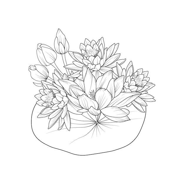Premium vector bouquet of lotus flower hand drawn pencil sketch coloring page and book for adult isolated on white