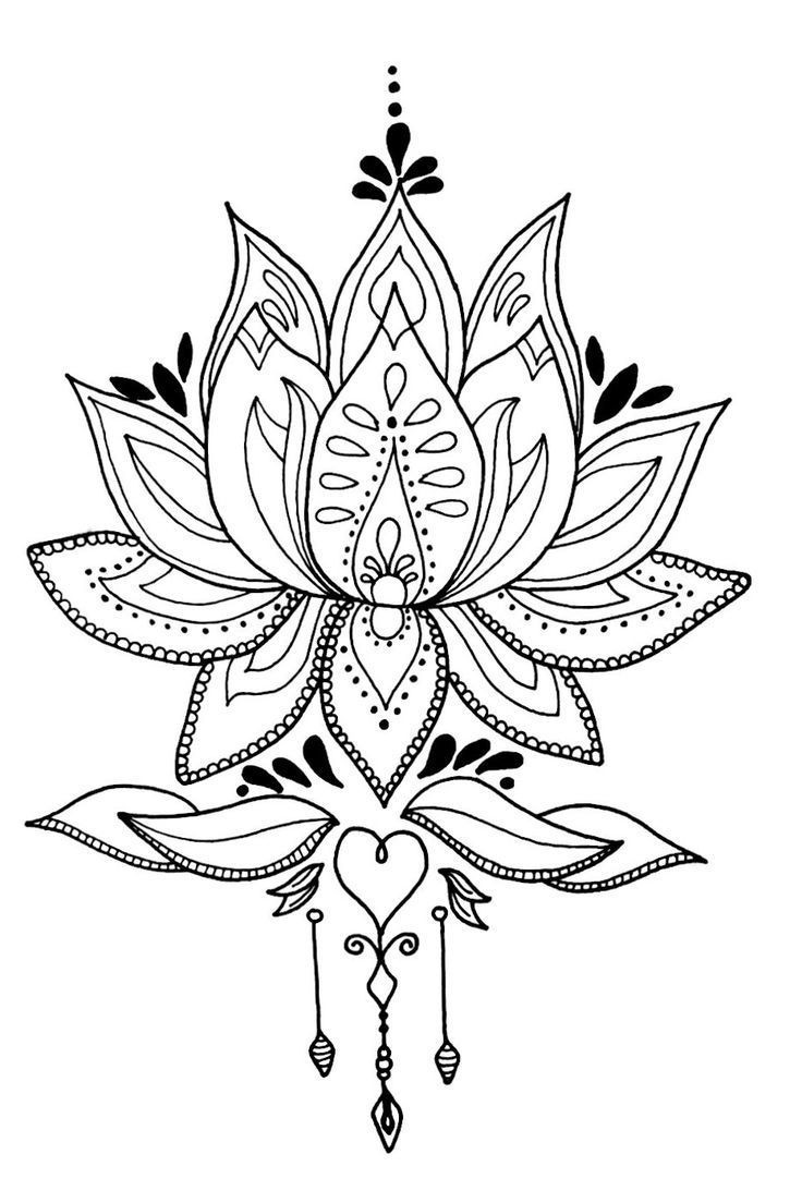 Coloring pages lotus flower coloring page best of pin on coloring pages