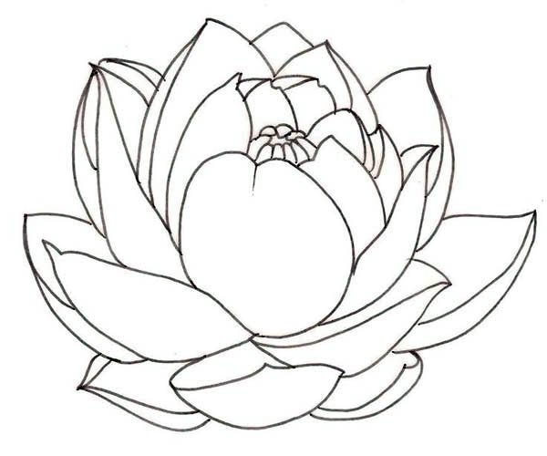 Coloring pages lotus flower mandala coloring pages