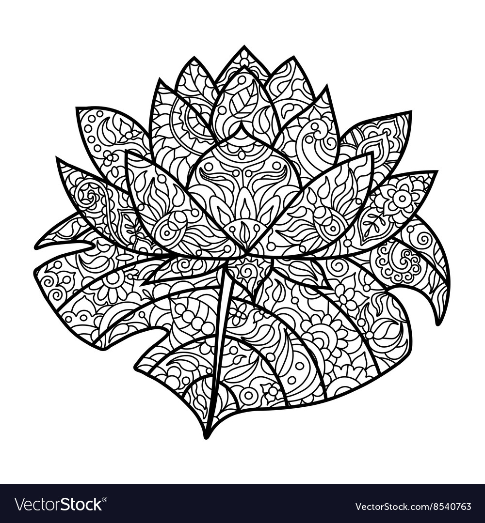 Lotus flower coloring book for adults royalty free vector