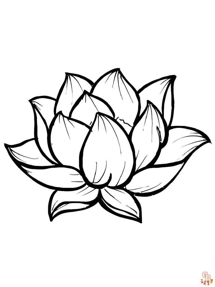 Find beautiful lotus coloring pages on