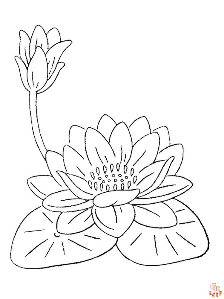 Find beautiful lotus coloring pages on