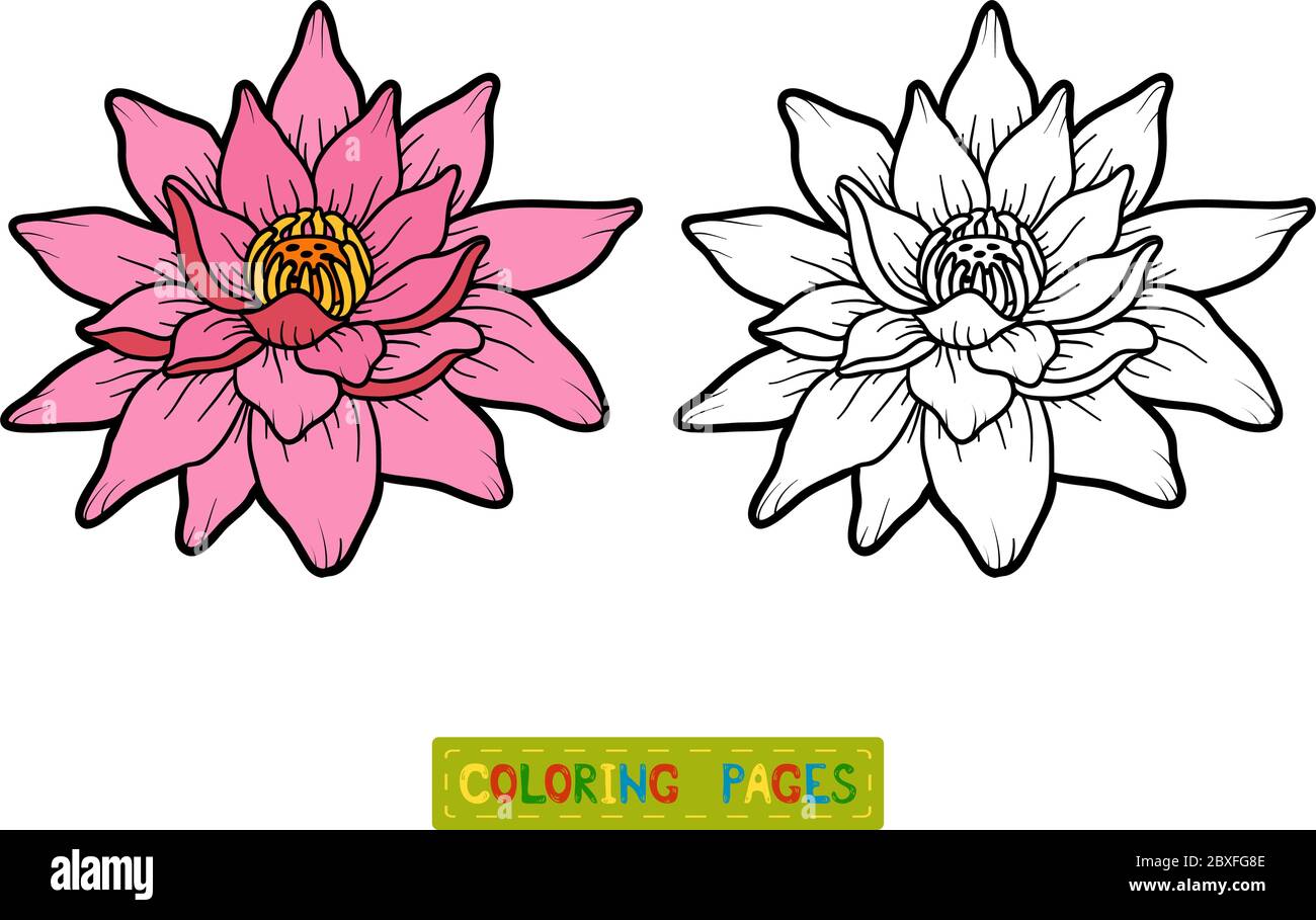 Coloring book for children flower lotus stock vector image art