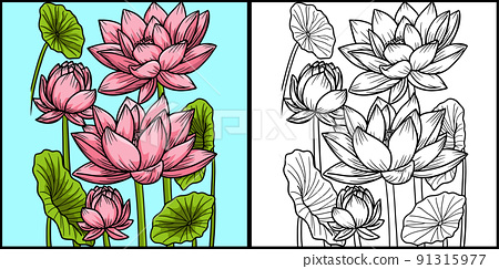 Lotus flower coloring page colored illustration