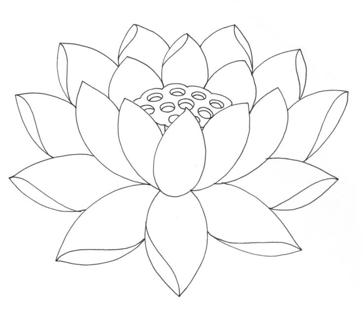Lotus flower coloring pages printable lotus flower drawing flower drawing flower coloring pages