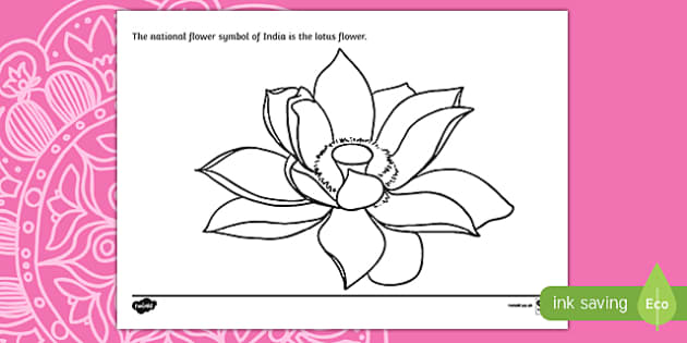 Lotus flower