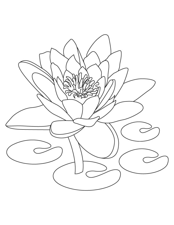 Free printable lotus coloring pages for kids