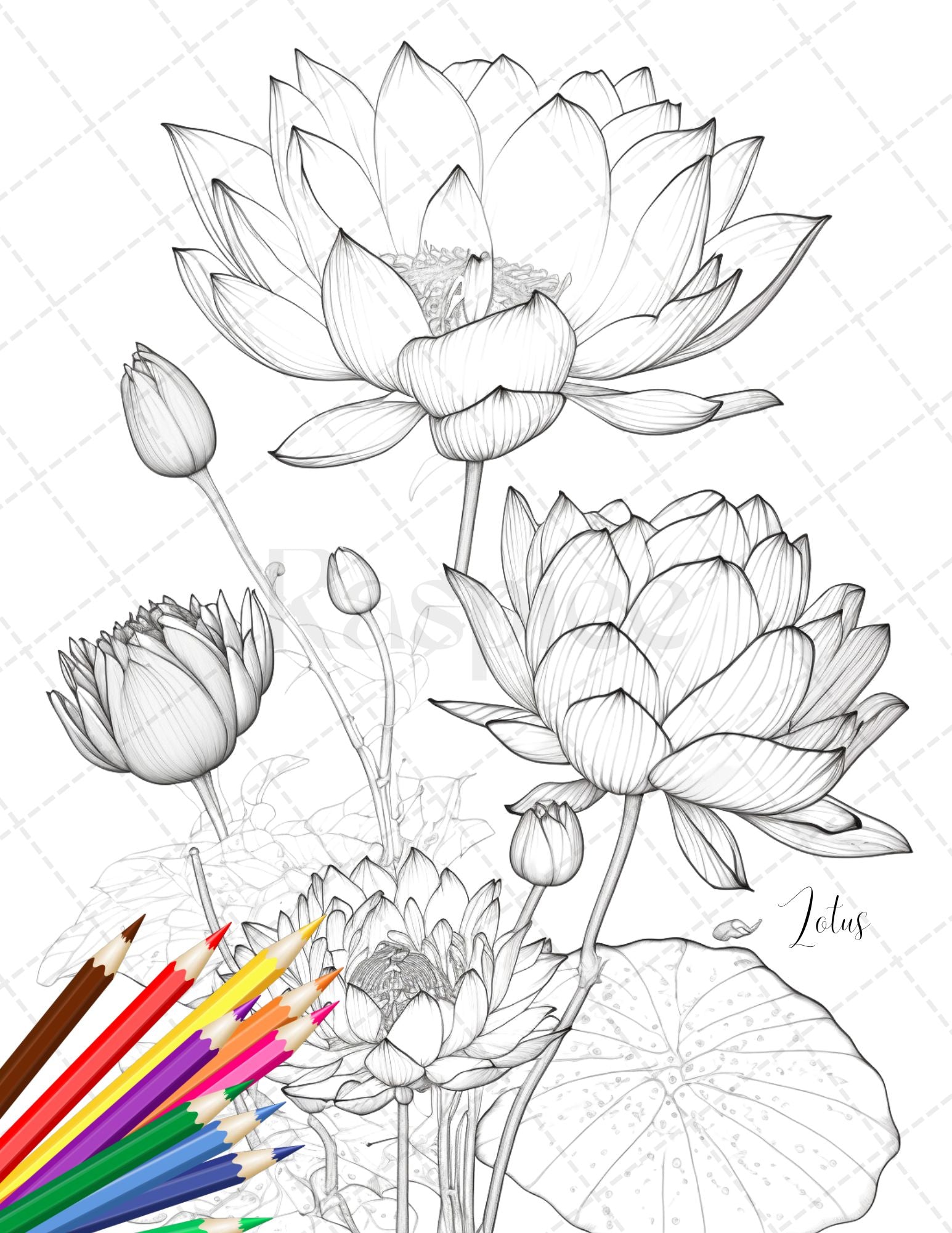 Botanical flowers printable coloring pages for adults floral grays â coloring